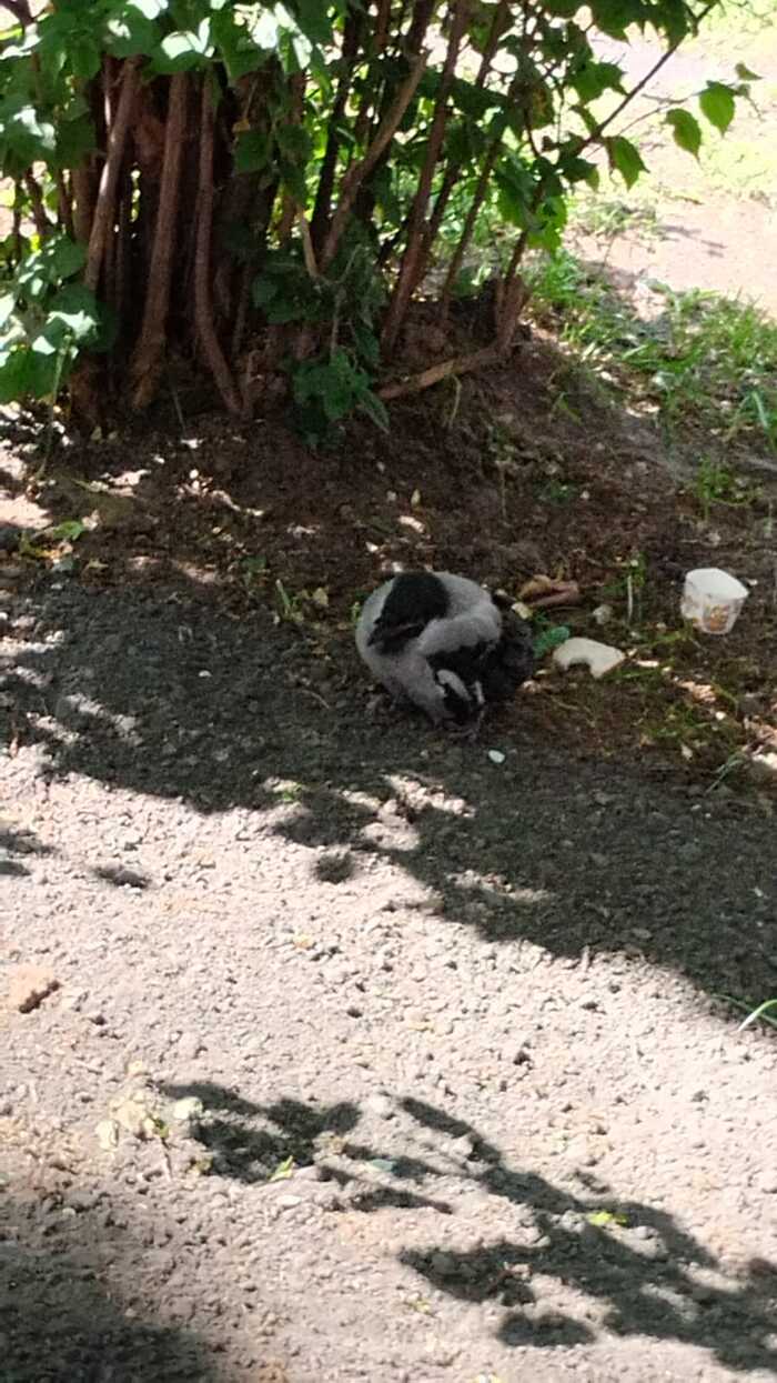      ,  , ,  , 