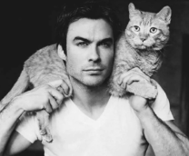 ��������� � �����