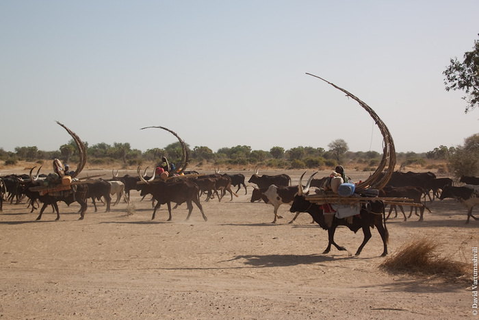 ������� ������� ���������� 