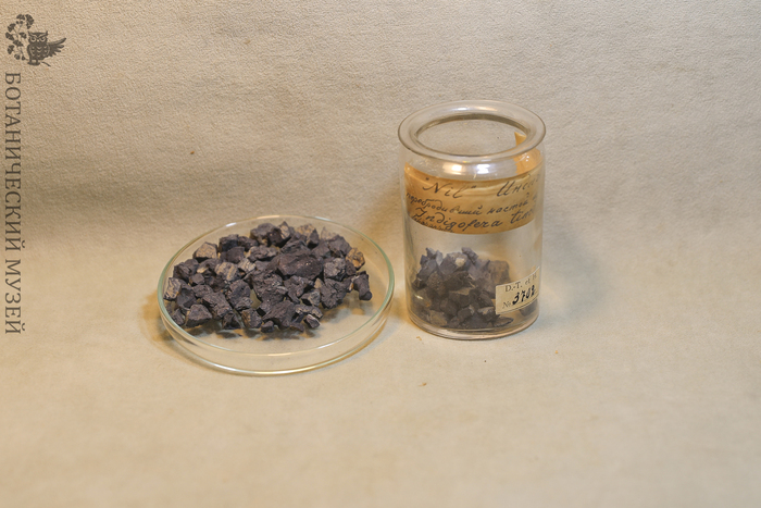  Nil    .  &nbsp;   .