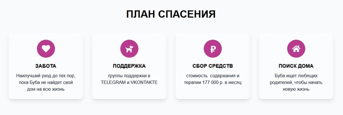 План спасения Воина Бубы