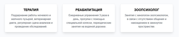 Содержание и уход Воина Бубы