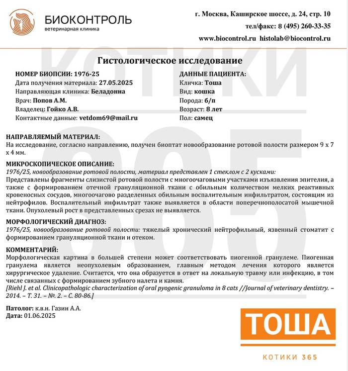  01.06.2025 ,  , , , , , 