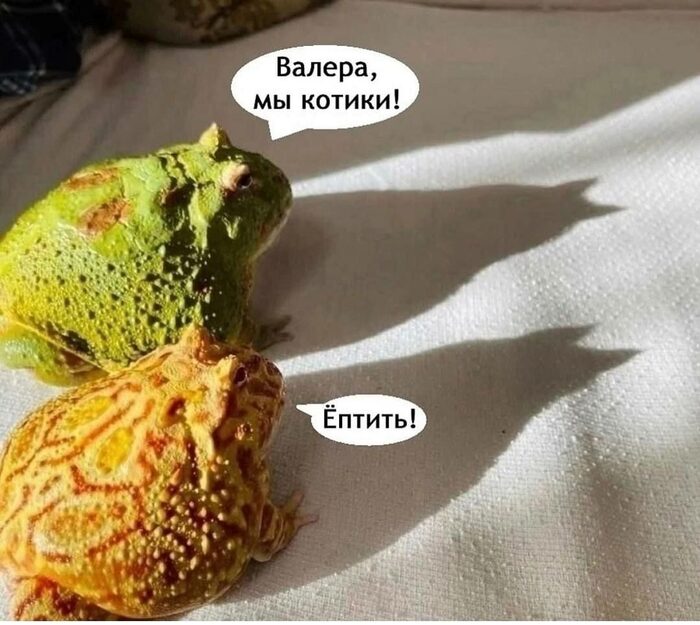 , !
