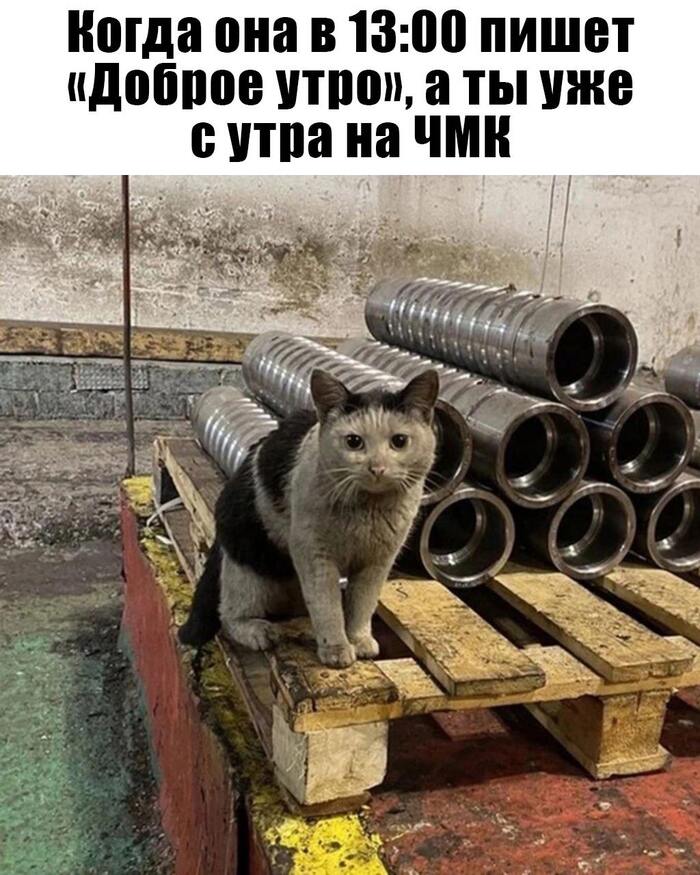     , , , , 