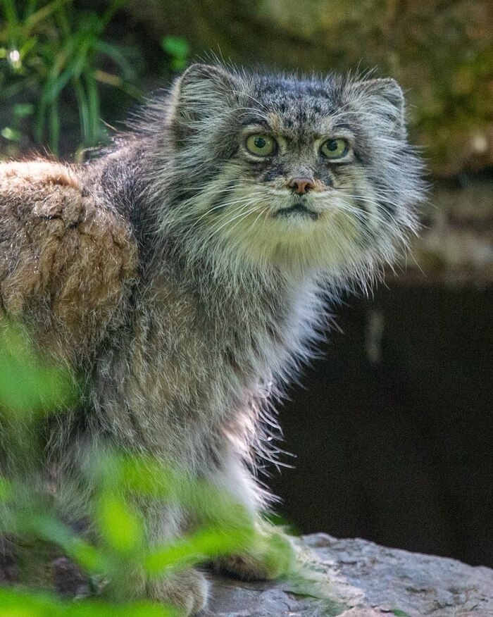 �������� ���-�� ����������, ������� � � �� �� ����� ������� � � �����������