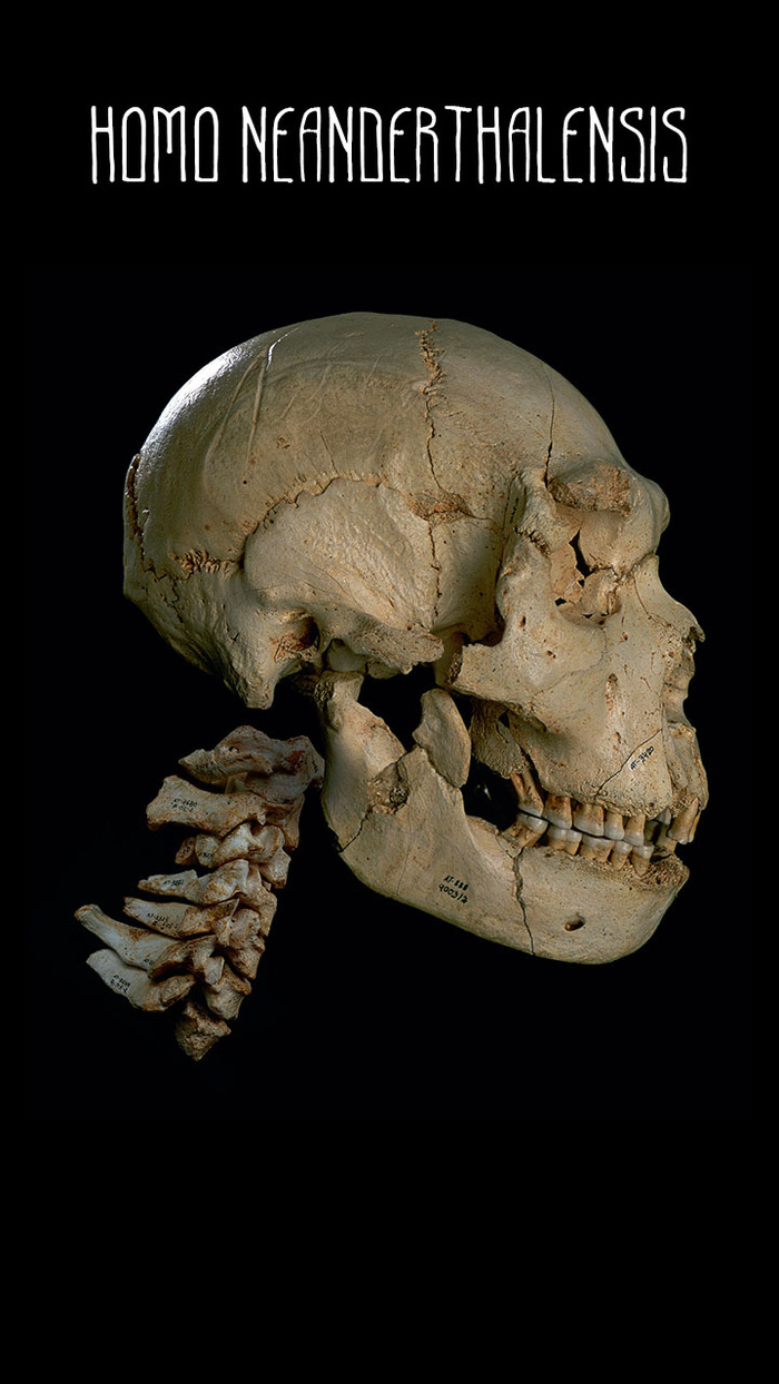  5 (Miguel&#xF3;n)    ---  ,    , . 430   .