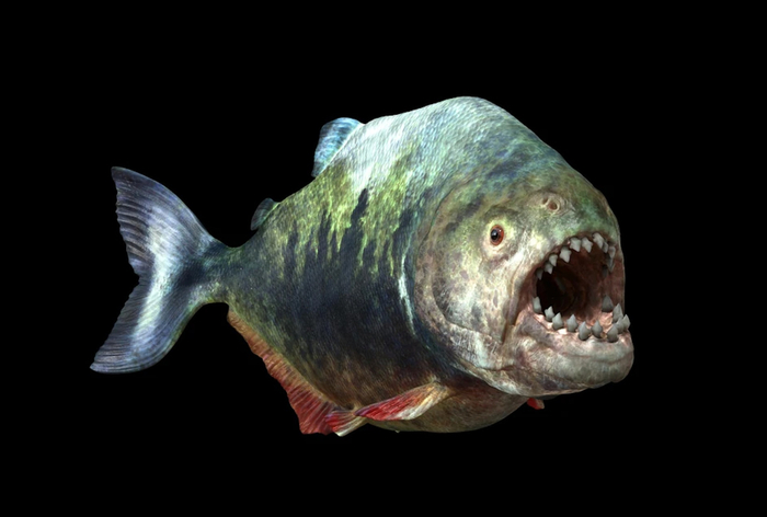 Когда ты подросток-бунтарь, но мама попросила улыбнуться тебя для фотографии.