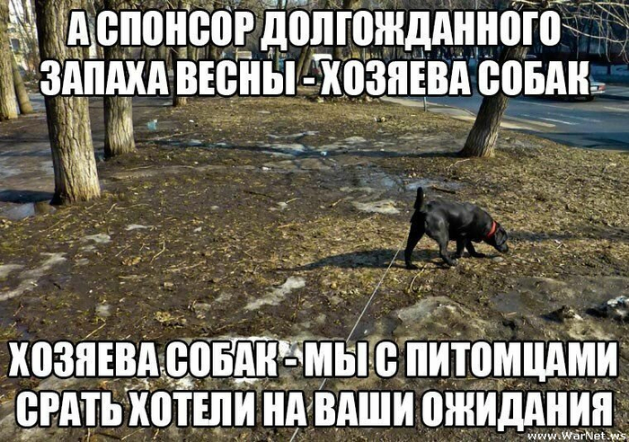  , *    ,         *    , , , , , 