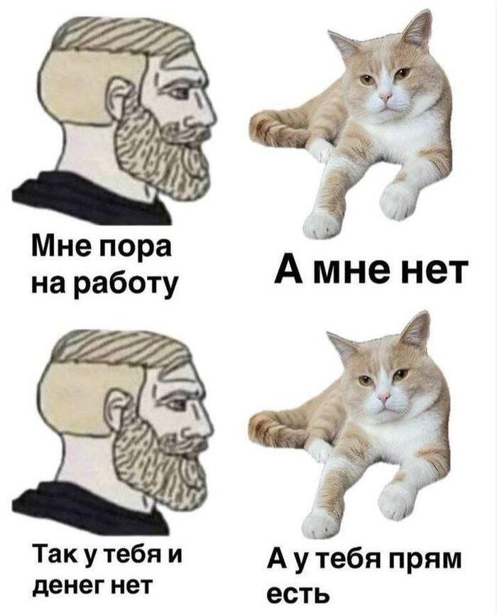 ���� �� ����� ��������