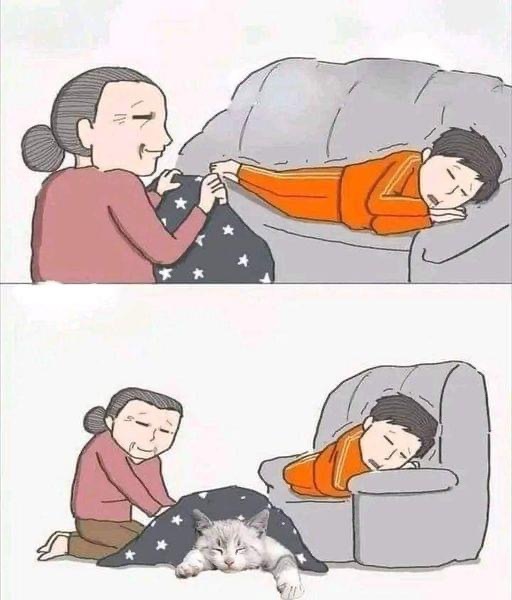 Заботливая