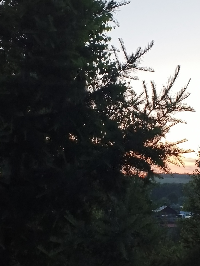 ������ ������? � �� ����! 