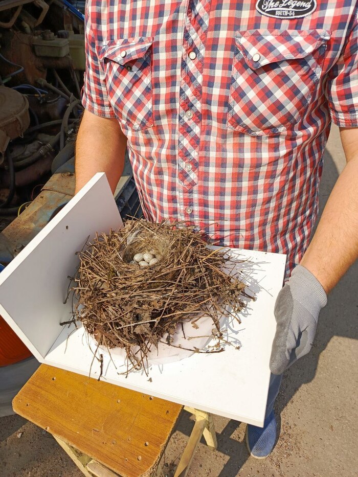 Яйца, на всякий случай, руками не трогали.