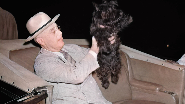 <a href="https://pikabu.ru/story/porodyi_sobak_stavshie_tselyimi_dinastiyami_kak_yeti_vernyie_druzya_soprovozhdali_velikie_semi_i_menyali_khod_istorii_raznyikh_stran_12807768?u=https%3A%2F%2Fdzen.ru%2Fa%2FaEC1Si4T836qm0iC%23franklin_ryzvelt_i_skotch_terer_fala_k&t=%D0%A4%D1%80%D0%B0%D0%BD%D0%BA%D0%BB%D0%B8%D0%BD%20%D0%A0%D1%83%D0%B7%D0%B2%D0%B5%D0%BB%D1%8C%D1%82%20%D0%B8%20%D1%81%D0%BA%D0%BE%D1%82%D1%87-%D1%82%D0%B5%D1%80%D1%8C%D0%B5%D1%80%20%D0%A4%D0%B0%D0%BB%D0%B0%3A%20%D0%BA%D0%BE%D0%B3%D0%B4%D0%B0%20%D1%81%D0%BE%D0%B1%D0%B0%D0%BA%D0%B0%20%D1%81%D1%82%D0%B0%D0%BD%D0%BE%D0%B2%D0%B8%D1%82%D1%81%D1%8F%20%D0%BB%D0%B5%D0%B3%D0%B5%D0%BD%D0%B4%D0%BE%D0%B9&h=d41dfd11ee4b543b12002b3332b4c92cfb7c597f" title="https://dzen.ru/a/aEC1Si4T836qm0iC#franklin_ryzvelt_i_skotch_terer_fala_k" target="_blank" rel="nofollow noopener">   - :    </a>