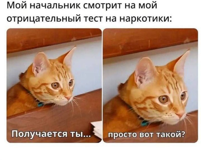 " -   ,   " , , ,  , ,  ,  , 