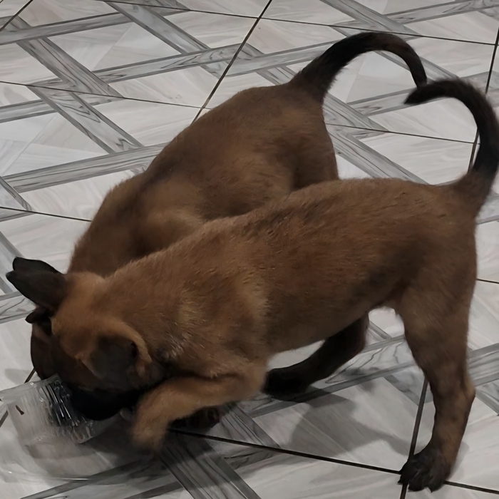  , , ,  , , ,  