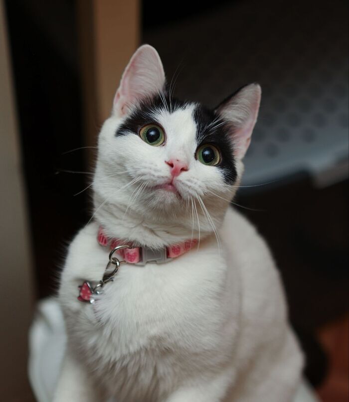 -     !   , , , , ,  , ,  , ,   ,  ,  ,  , ,  