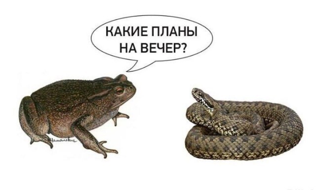   ...  ,  , , ,   