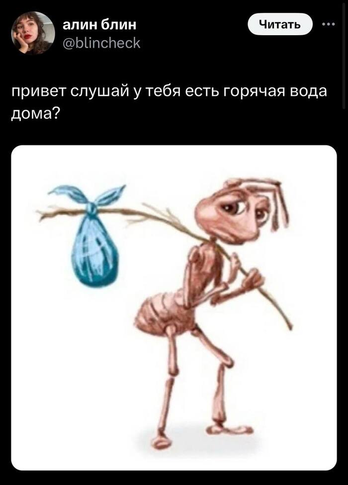    ? ,   , , X (Twitter),  , , ,  