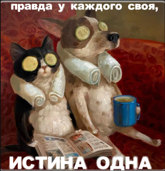   ?   -  , , ,  ,   , ,  , , , , ,   (), 