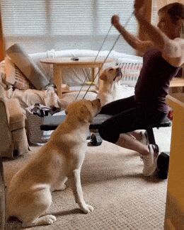     , , , , , 