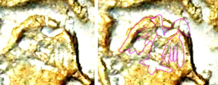 Изображение орла на зеркале воительниц стана армии Руси Яра, изготовленное в 9-м веке в Великом Новгороде, найденное жителем села Сарлы Азнакаевского района Татарстана, 2018 г.