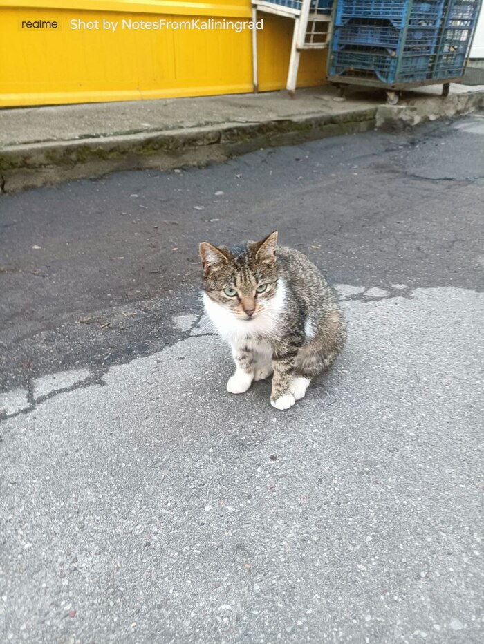      , ,   , , ,  , 