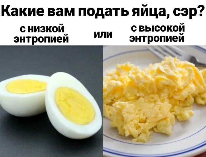   , , ,   , , Telegram ()