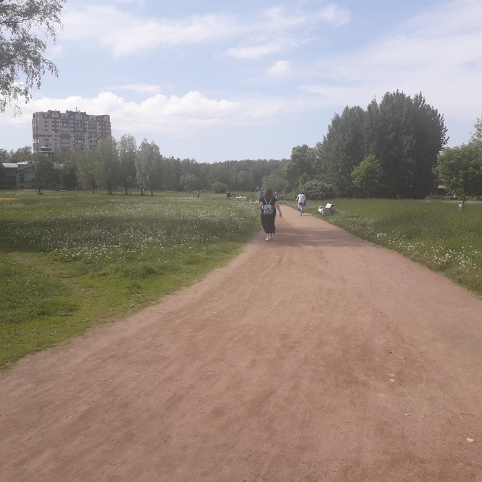    " ",  07.06.2025 -,   , , , , 
