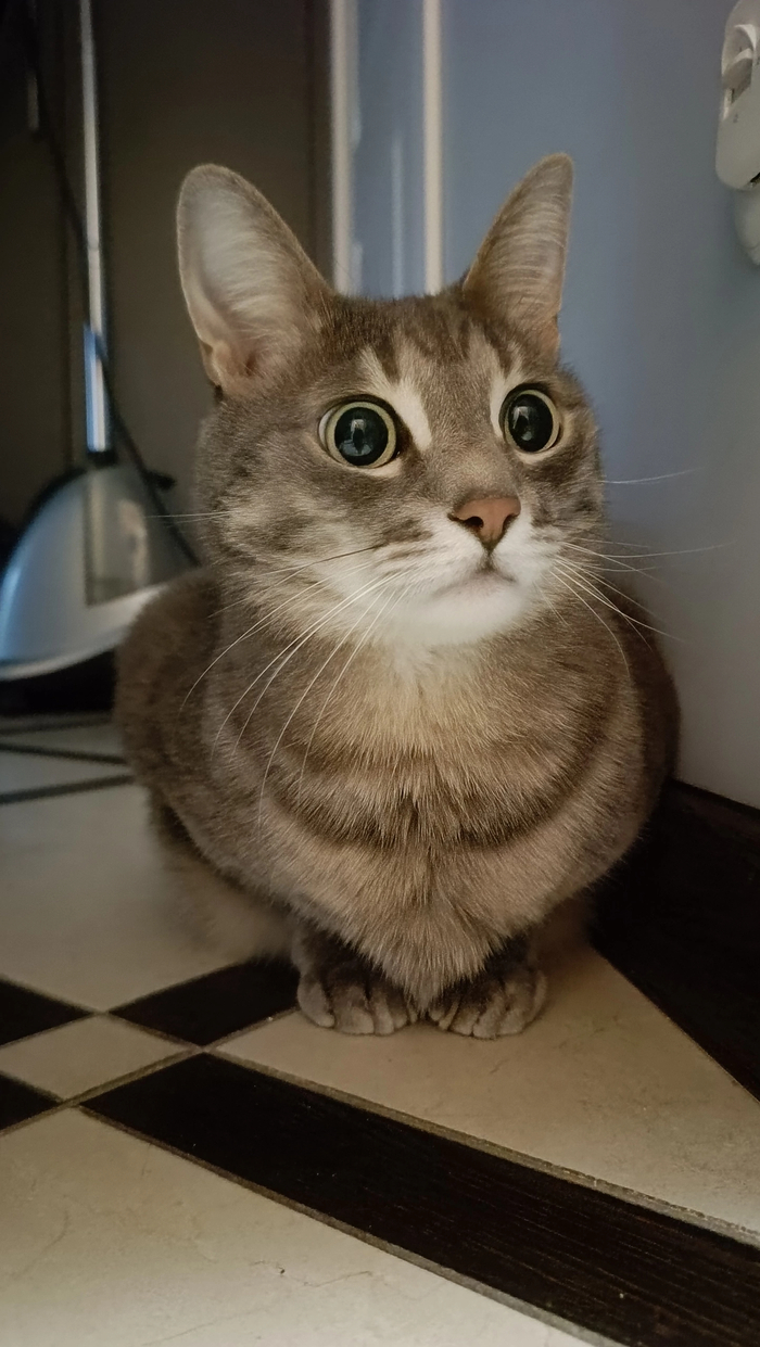    , , ,  , , 