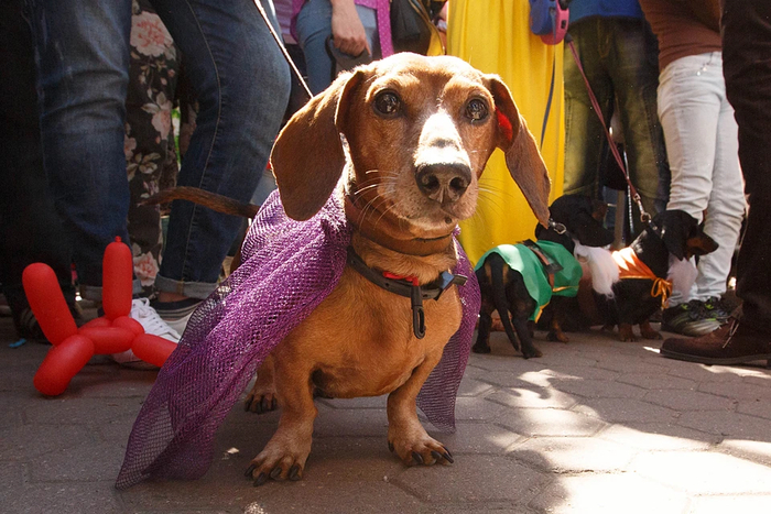 �������� ����� ��������� ������������� ������� � �������� �� �������� � �������� 