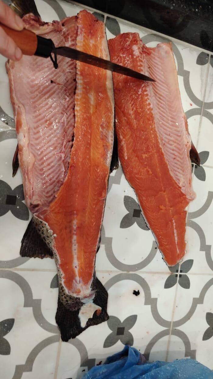 Стоила, если мне не изменяет память, 52 лари - чуть больше 1500