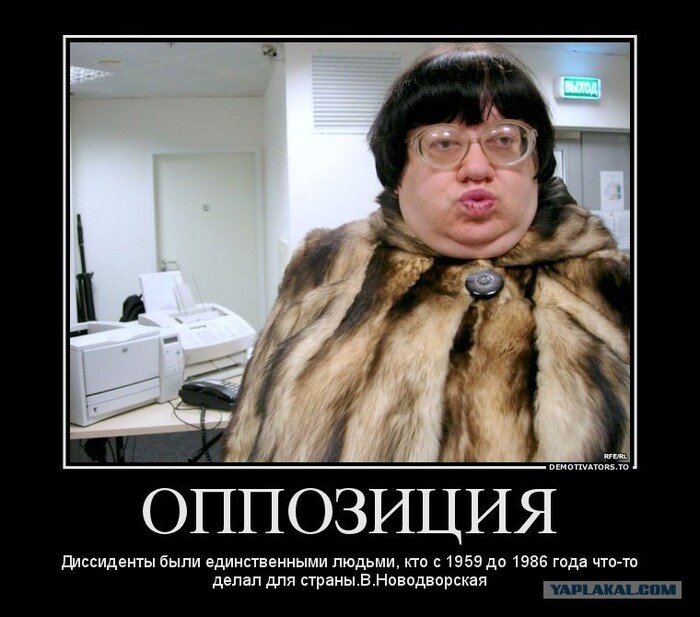      -    , , Twitter (), , , ,   