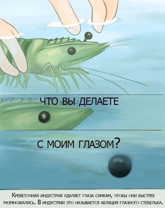       ? , , , ,  ,   