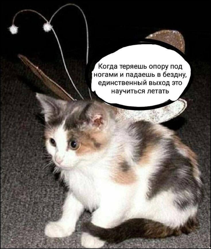   ,   , , , 