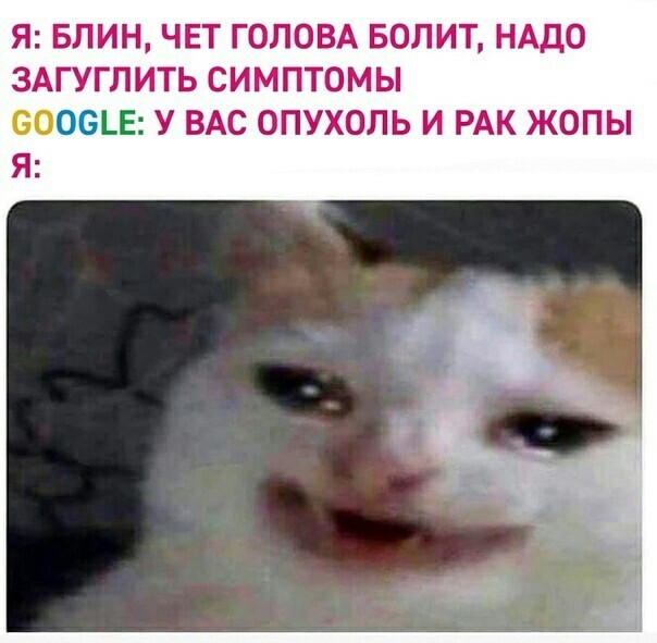       ChatGPT ? , Openai,  , , IT, ChatGPT, DeepSeek, , -, Google, , , 