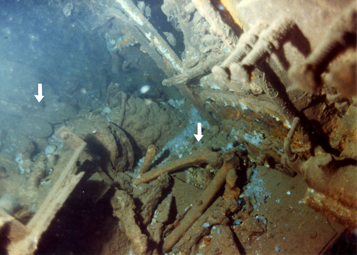 Фото кормового отделения Scirè, сделанное итальянскими водолазами в 1984 году. Белыми стрелками обозначены останки погибших подводников