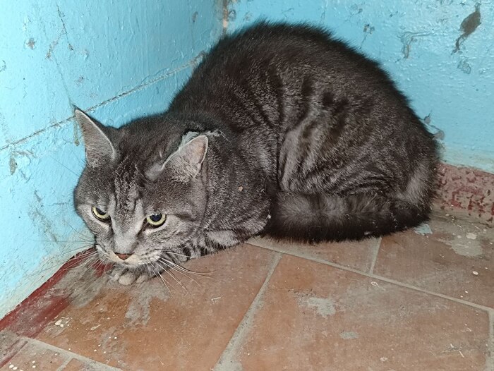 ����� ��� �����