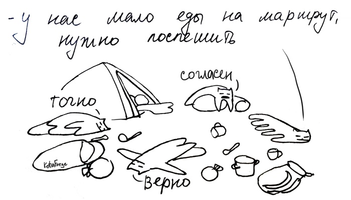   ,  ,  , , , , , Kotiaforge,  , 