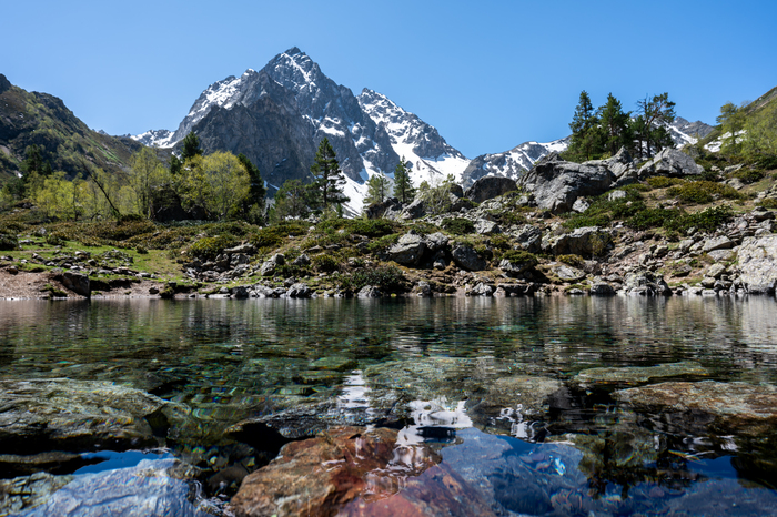 ����� ������� (���������)