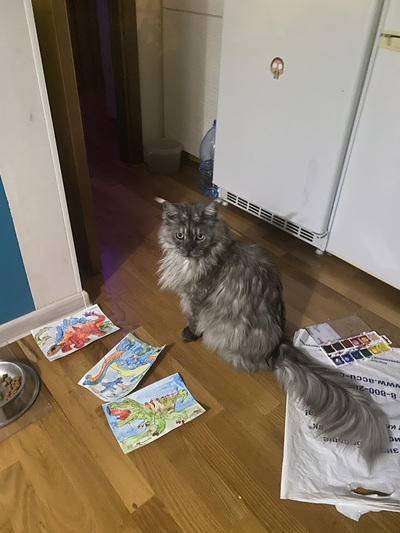 Иллюстрация к комментарию
