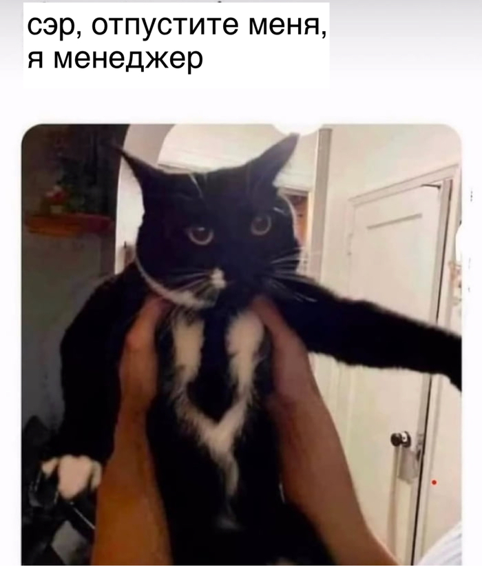   , , , , ,   
