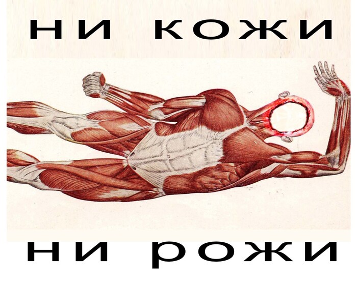 Незавидный жених