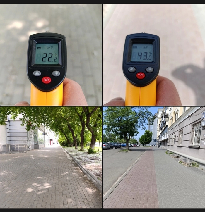 Деревья в городе