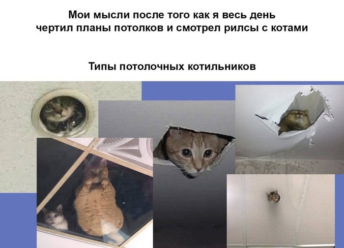  ,  , , 