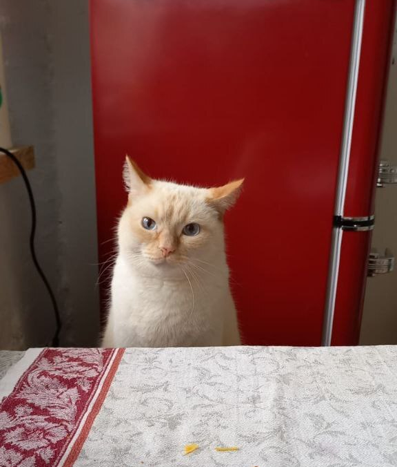  -      ? , , , , , , , , ,  