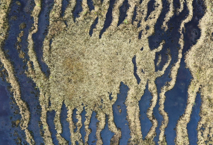 Грядово-мочажинное болото в национальном парке Паанаярви, Республика Карелия