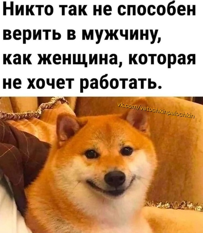    , ,  (), , , , , ,   