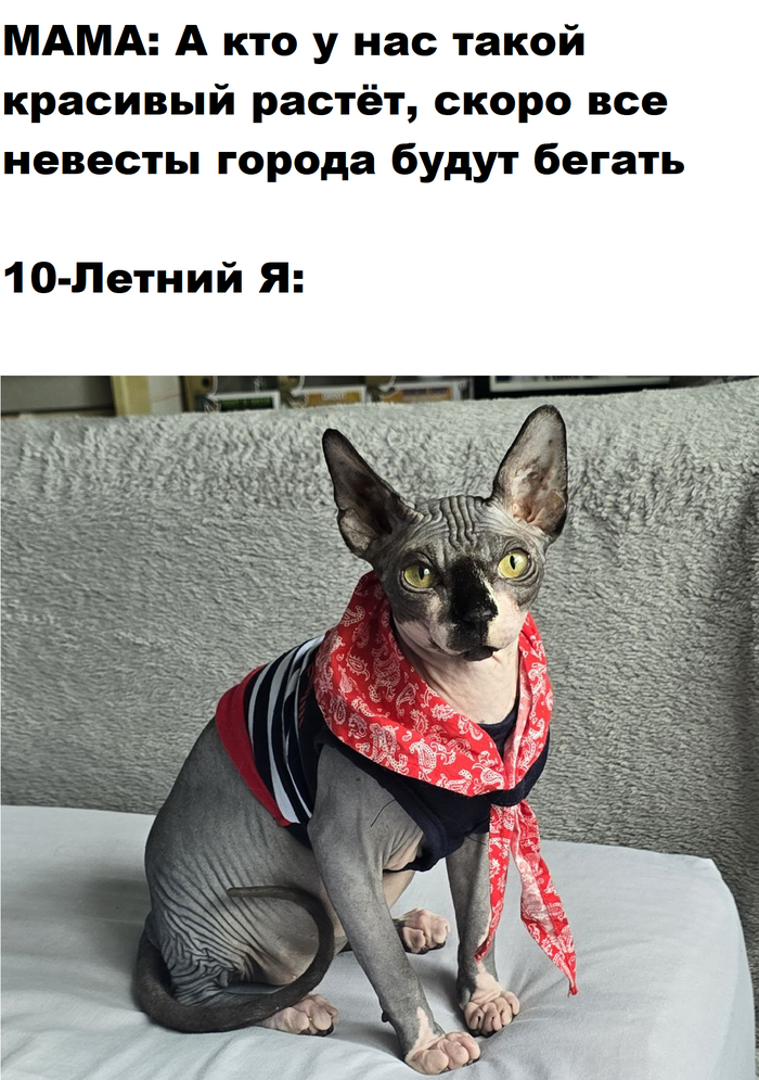  ,   ,  , 