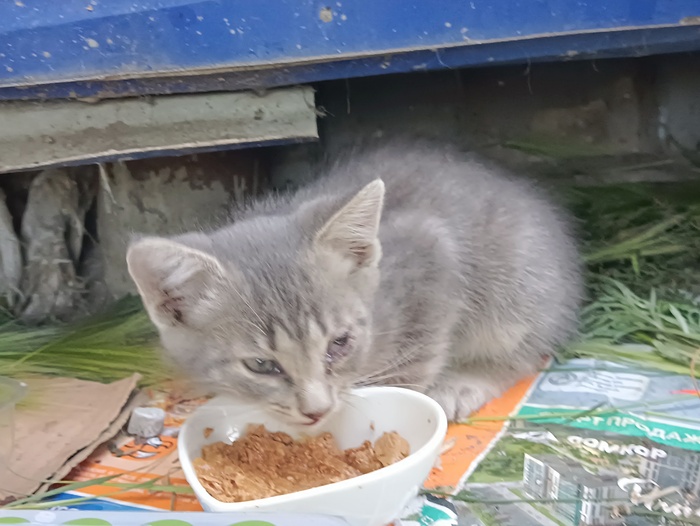  ,   , , ,  ,   ,  , ,  ,  , 